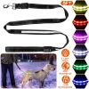 iMounTEK 5FT LED Dog Leash – USB Rechargeable Light Up Dog Walking Leash with 9 Light Colors, IPX7 Waterproof Nylon Lead for Night Walks