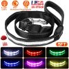 iMounTEK 5FT LED Dog Leash – USB Rechargeable Light Up Dog Walking Leash with 9 Light Colors, IPX7 Waterproof Nylon Lead for Night Walks