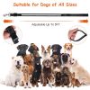 iMounTEK 5FT LED Dog Leash – USB Rechargeable Light Up Dog Walking Leash with 9 Light Colors, IPX7 Waterproof Nylon Lead for Night Walks