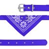 Adjustable Bandana Leather Pet Collar with Triangle Scarf