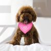 Adjustable Bandana Leather Pet Collar with Triangle Scarf