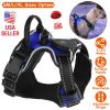 iMounTEK Rechargeable LED Light Up Dog Harness – No Pull Reflective Lighted Vest with Handle for Small, Medium & Large Dogs