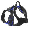 iMounTEK Rechargeable LED Light Up Dog Harness – No Pull Reflective Lighted Vest with Handle for Small, Medium & Large Dogs