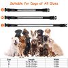 iMounTEK LED Light Up Dog Collar – USB Rechargeable Glowing Safety Collar with 9 Light Colors & IPX7 Waterproof Design