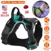 iMounTEK Rechargeable LED Light Up Dog Harness – No Pull Reflective Lighted Vest with Handle for Small, Medium & Large Dogs