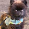 Cool Mesh Dog Harness with Leash